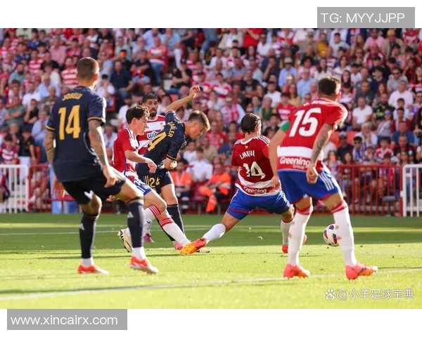 挪超联赛精彩对决罗森博格能否逆袭强敌展现实力 挪超联赛精彩对决罗森博格能否逆袭强敌展现实力